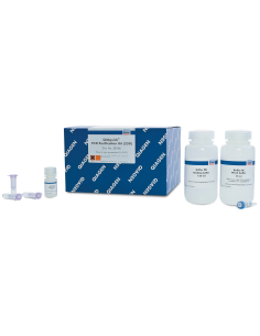 QIAQUICK PCR PURIFICATION KIT (250) X UNIDAD