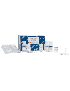 QIAAMP ULTRASENS VIRUS KIT (50) X UNIDAD