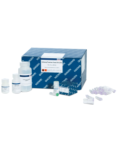 DNEASY MERICON FOOD KIT (50) X UNIDAD