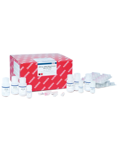 ALLPREP DNA/RNA/PROTEIN MINI KIT (50) X UNIDAD
