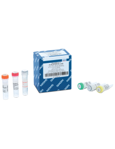 QUANTINOVA PROBE RT-PCR KIT (100) X UNIDAD