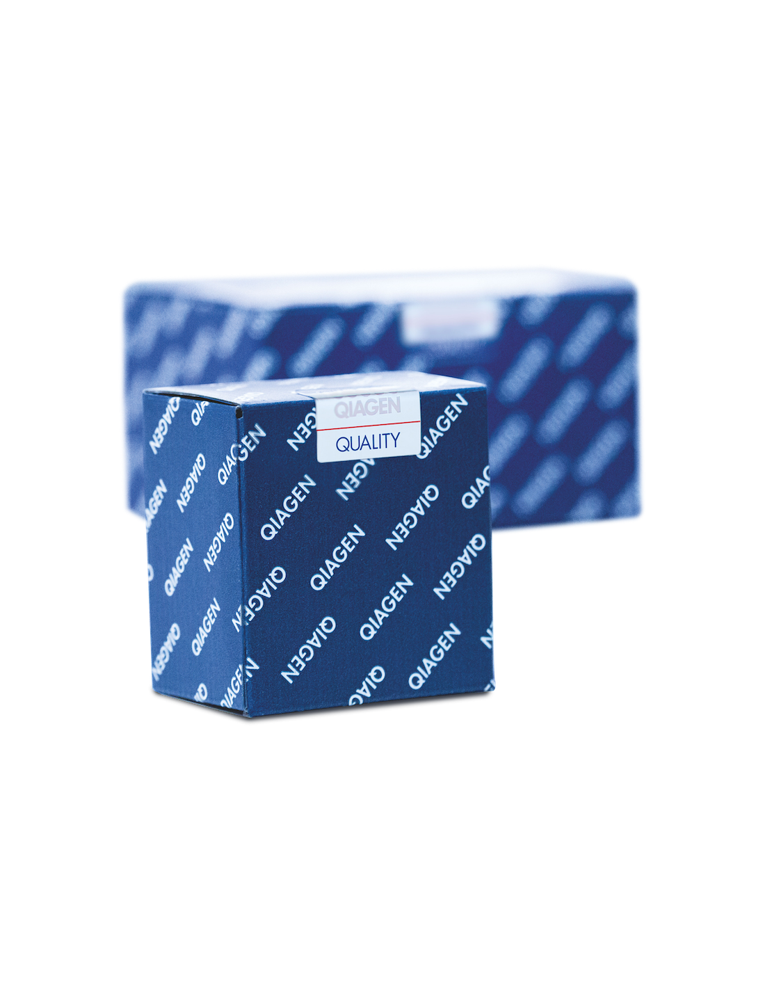 BUFFER G2 (260/250) X UNIDAD