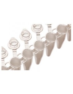 TIRA DE 8 TUBO PCR BLANCO 0,2 ML CAJA X 120 TIRAS (10...