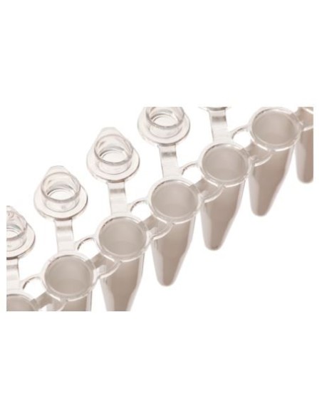 TIRA DE 8 TUBO PCR BLANCO 0,2 ML