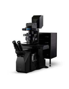 MICROSCOPIO CONFOCAL DE BARRIDO LÁSER