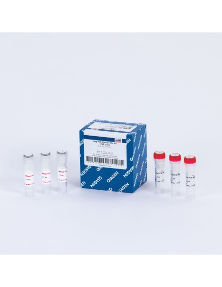 TAQ PCR MASTER MIX X KIT DE 250 U