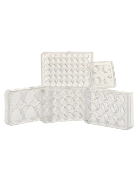 MULTIPLACAS PARA CULTIVO, 6 POCILLOS UNITARIA