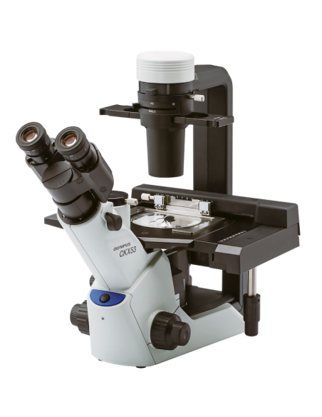 MICROSCOPIO INVERTIDO CKX53