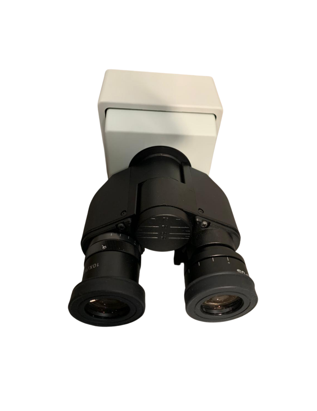 Microscopia
