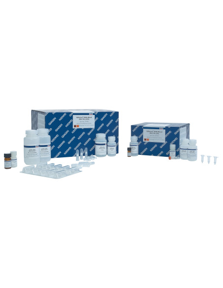 QIAAMP DNA BLOOD MINI KIT (250)