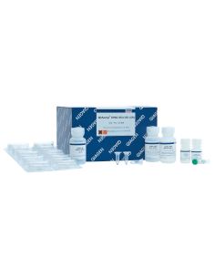 QIAAMP DNA MINI KIT (50)