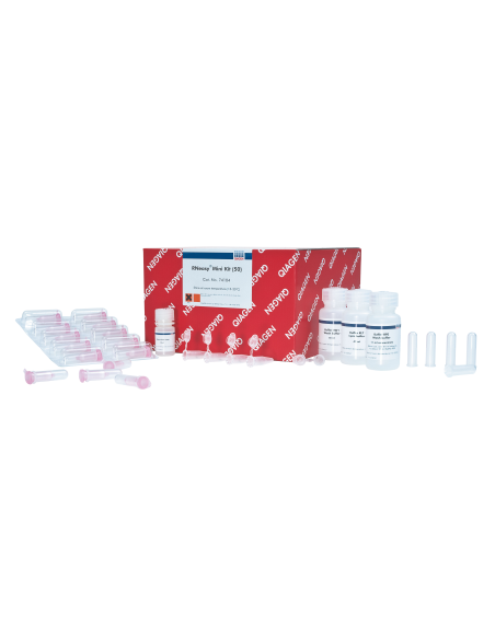 RNEASY MINI KIT (50)