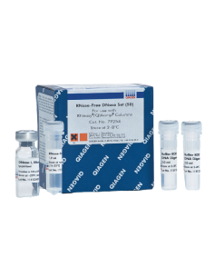 RNASE-FREE DNASE SET (50)