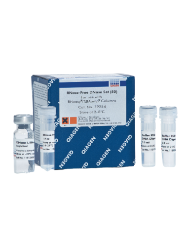 RNASE-FREE DNASE SET (50)