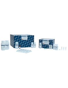 QIAAMP DNA MINI KIT (250)