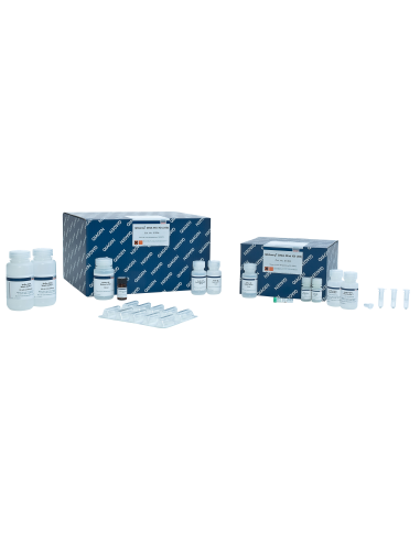 QIAAMP DNA MINI KIT (250)