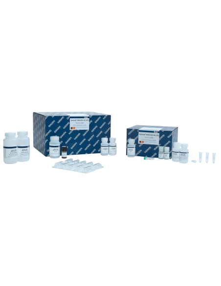 QIAAMP DNA MINI KIT (250)