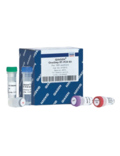 QIAGEN ONESTEP RT-PCR KIT (100)
