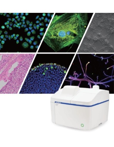 SISTEMA DE PROCESAMIENTO DE IMÁGENES DIGITALES...