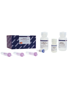 QIAQUICK GEL EXTRACTION KIT (50)