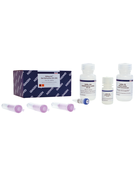 QIAQUICK GEL EXTRACTION KIT (50)