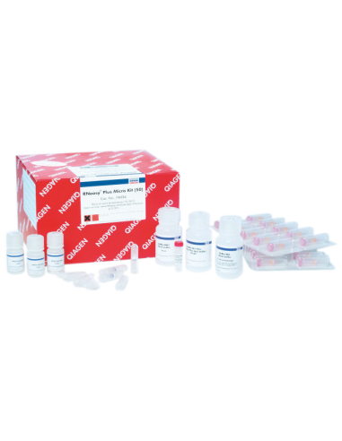 RNEASY PLUS MICRO KIT (50)