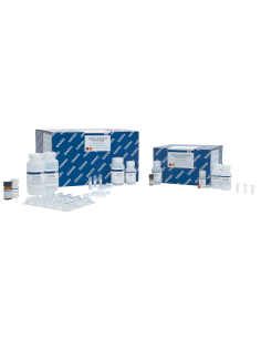 QIAAMP DNA BLOOD MINI KIT (50)