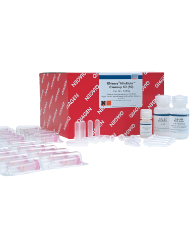 RNEASY MINELUTE CLEANUP KIT (50)