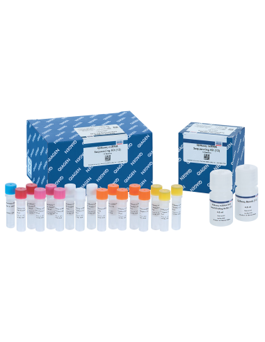QIASEQ MIRNA LIBRARY KIT (12)