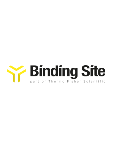 Bindig Site